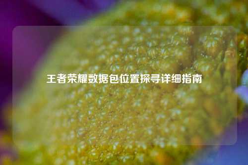 王者荣耀数据包位置探寻详细指南