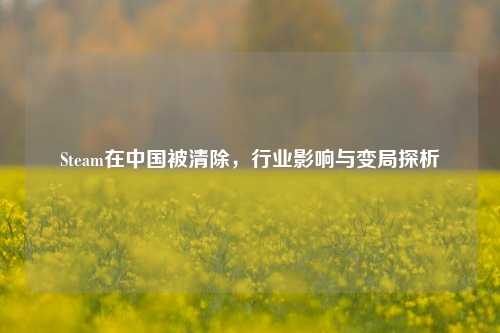 Steam在中国被清除,行业影响与变局探析