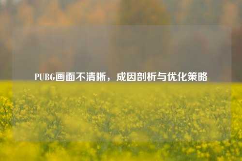 PUBG画面不清晰,成因剖析与优化策略
