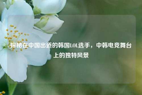探秘在中国出道的韩国LOL选手,中韩电竞舞台上的独特风景