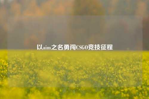 以aim之名勇闯CSGO竞技征程