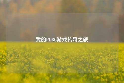 我的PUBG游戏传奇之旅