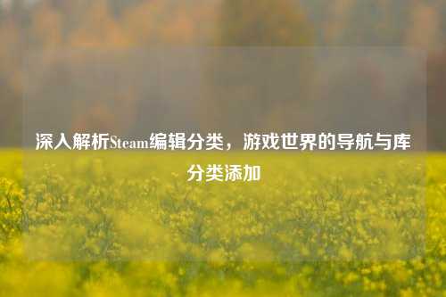 深入解析Steam编辑分类,游戏世界的导航与库分类添加