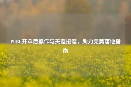 PUBG开伞后操作与关键按键,助力完美落地指南