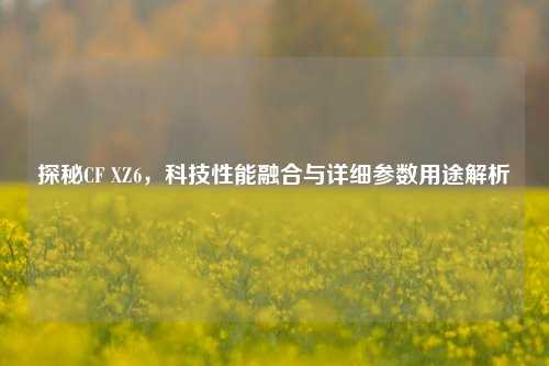 探秘CF XZ6,科技性能融合与详细参数用途解析
