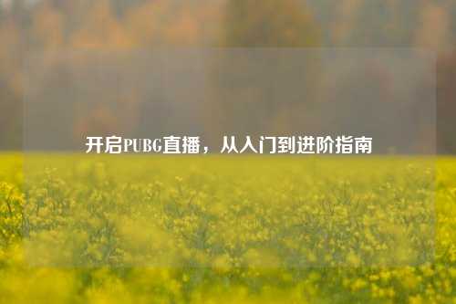 开启PUBG直播,从入门到进阶指南