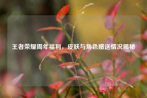 王者荣耀周年福利,皮肤与角色赠送情况揭秘