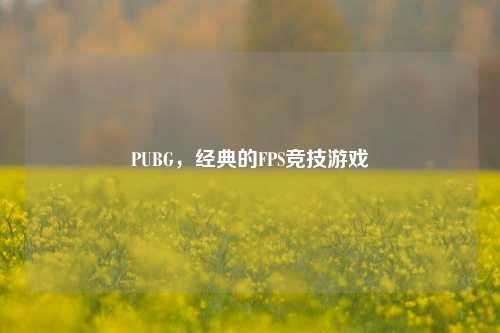 PUBG，经典的FPS竞技游戏