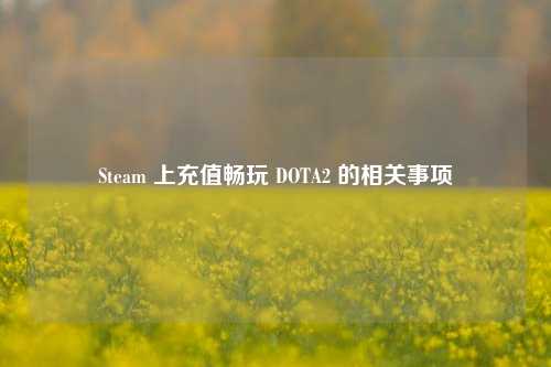 Steam 上充值畅玩 DOTA2 的相关事项